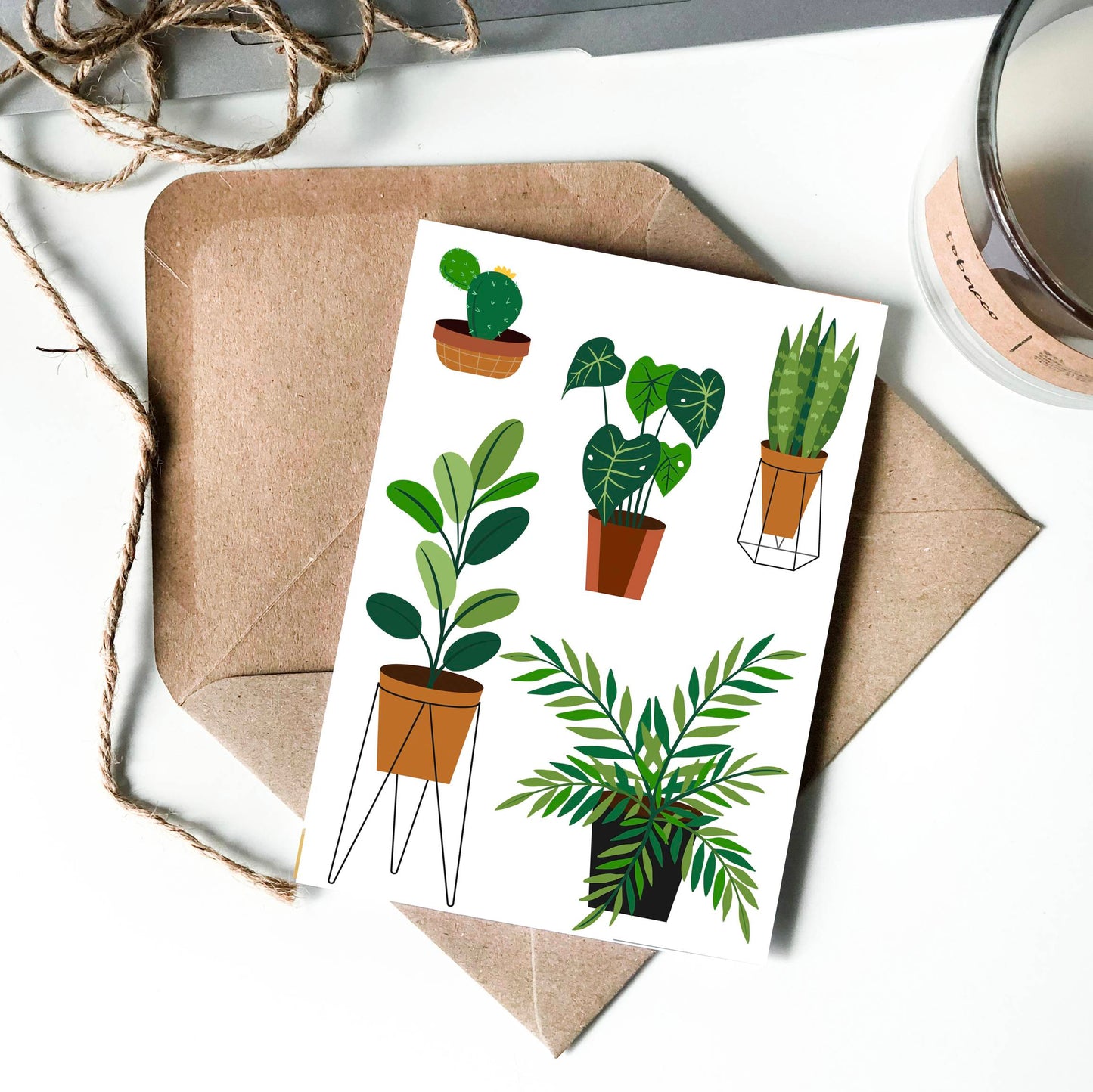 House Plant Selection Illustration All Occasion Card